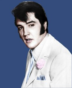 elvis alkohol