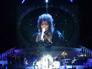 whitney houston alkohol